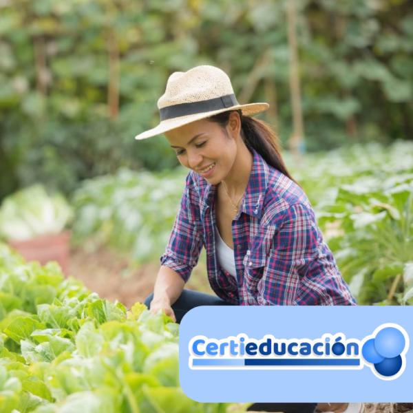Auxiliar de trabajo Agrícola