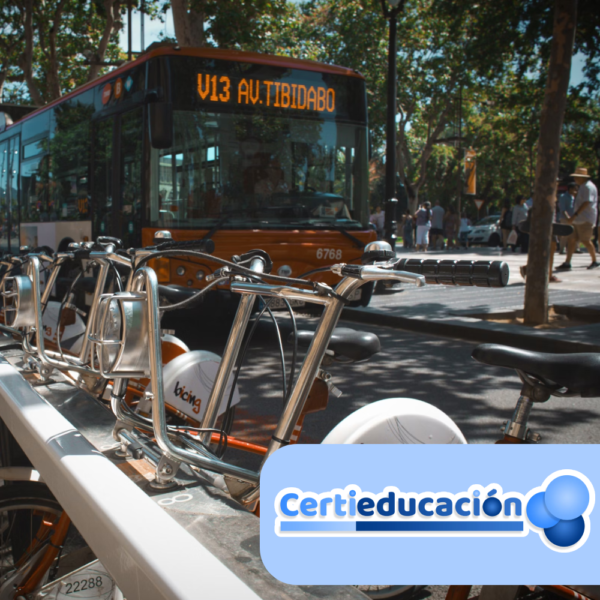 Operador de Transporte Público